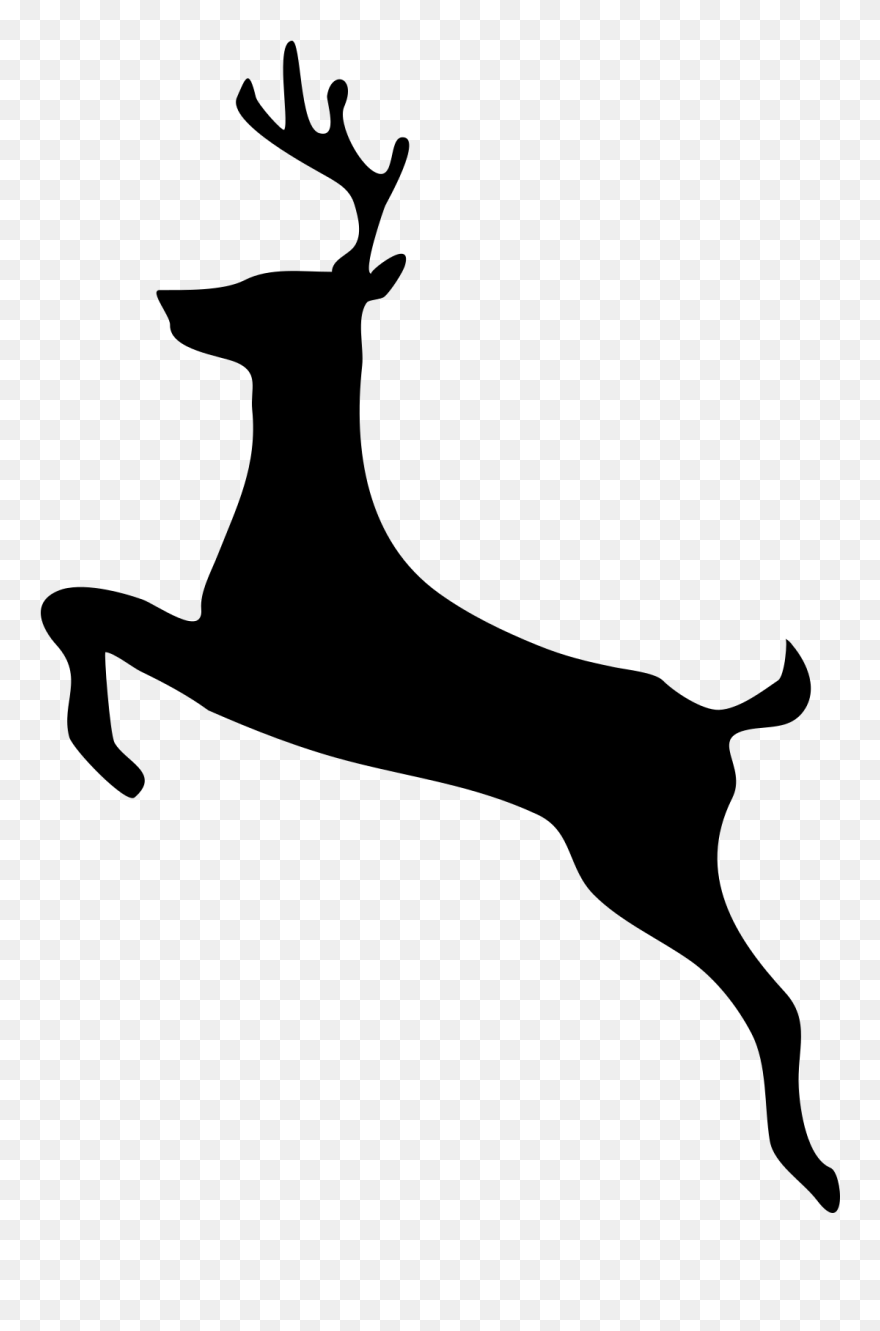 White-tailed Deer Moose Clip Art - Deer Clip Art - Png Download