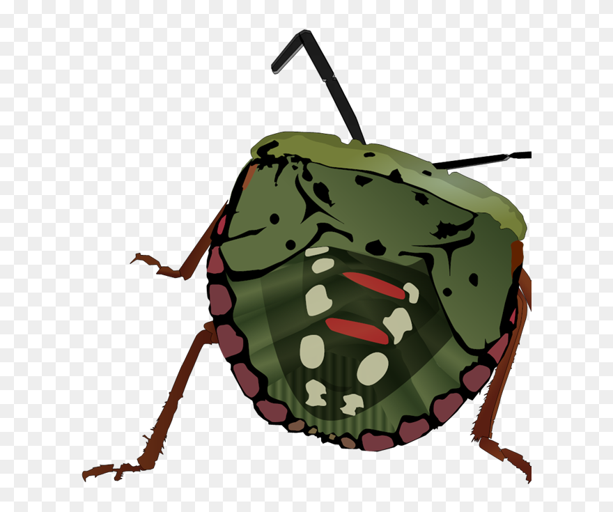 Bug Clip Art - Png Download