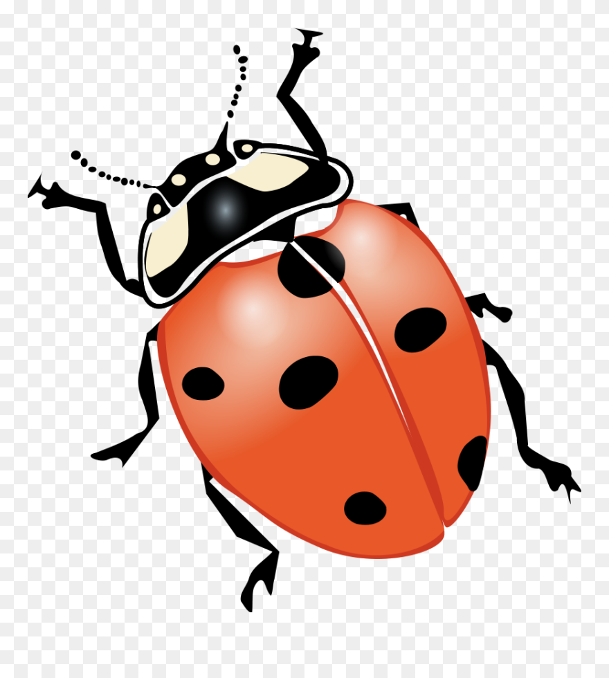 Transparent Lightning Bugs Clipart - Beetle Black And White Clipart - Png Download