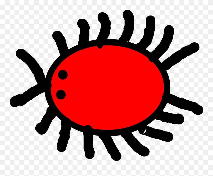 My Little Leg Insect Clipart