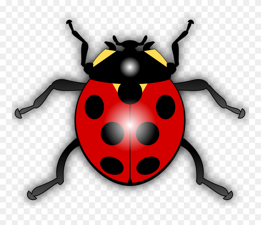 Bug Legs Png - Ladybird Clipart Transparent Png