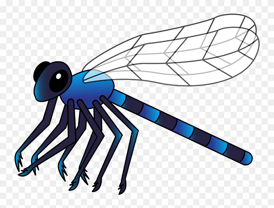 Free Download - Dragonfly Clipart - Png Download