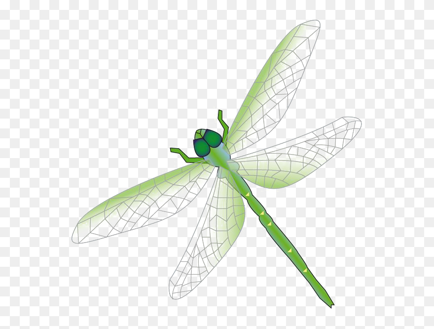 Dragonfly Png Transparent Images, Pictures, Photos - Free Dragonflies Clipart