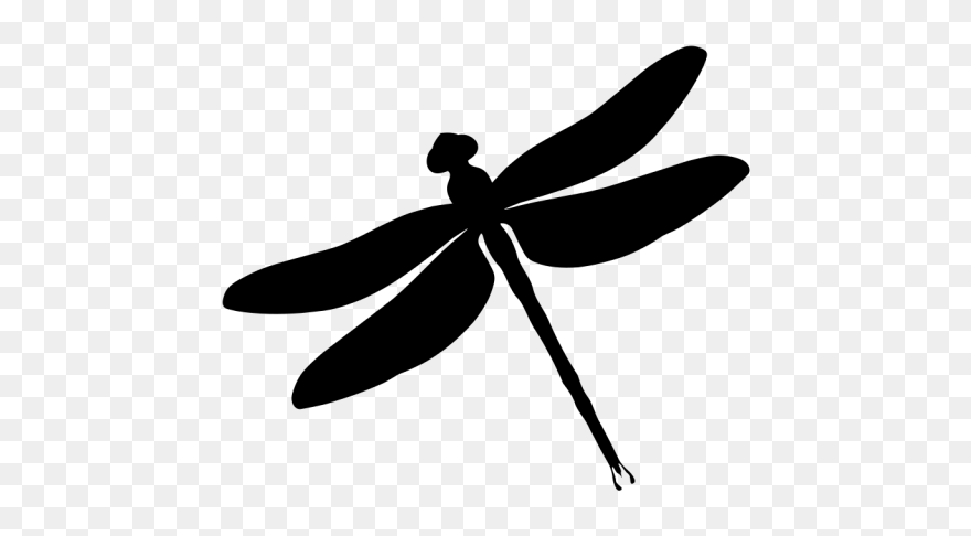 Dragonfly Clipart Outline - Dragonflies Black And White - Png Download