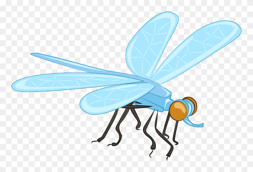 Dragonfly Clipart - Net-winged Insects - Png Download
