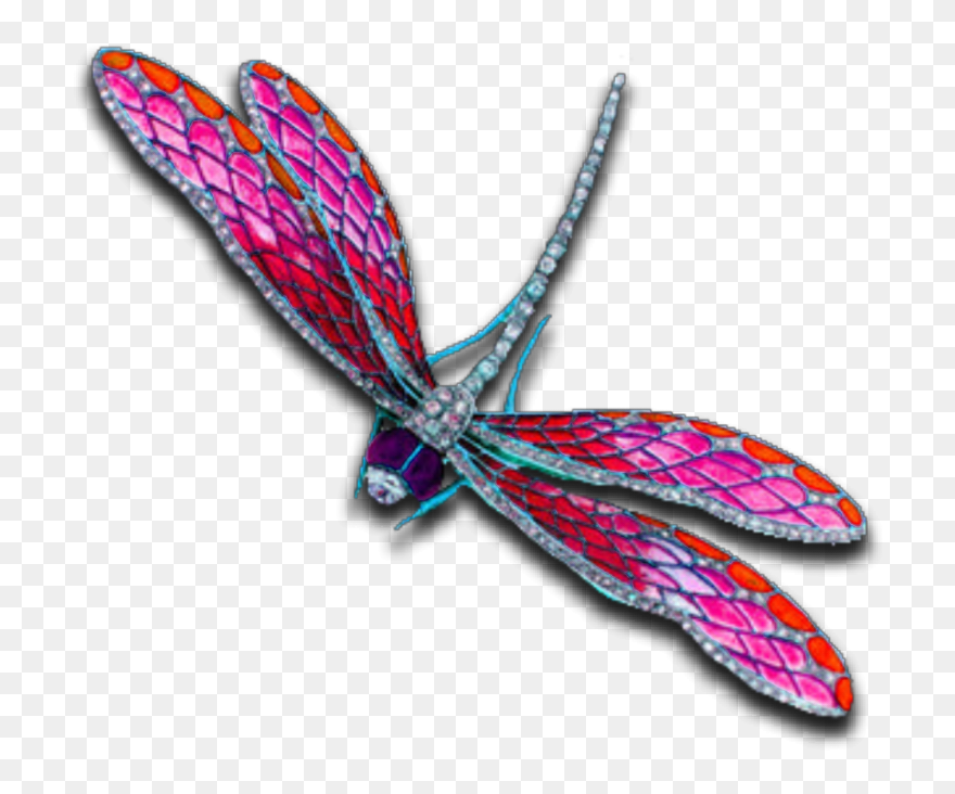 #pink #dragonfly #insect #bug #fly #jewelry #silver - Dragonflies And Damseflies Clipart