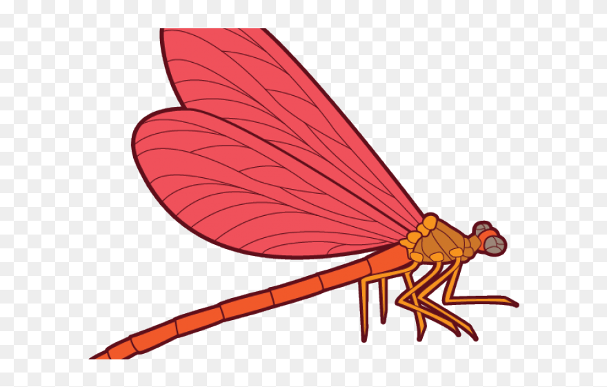 Dragonfly Clipart Outline - Clip Art - Png Download
