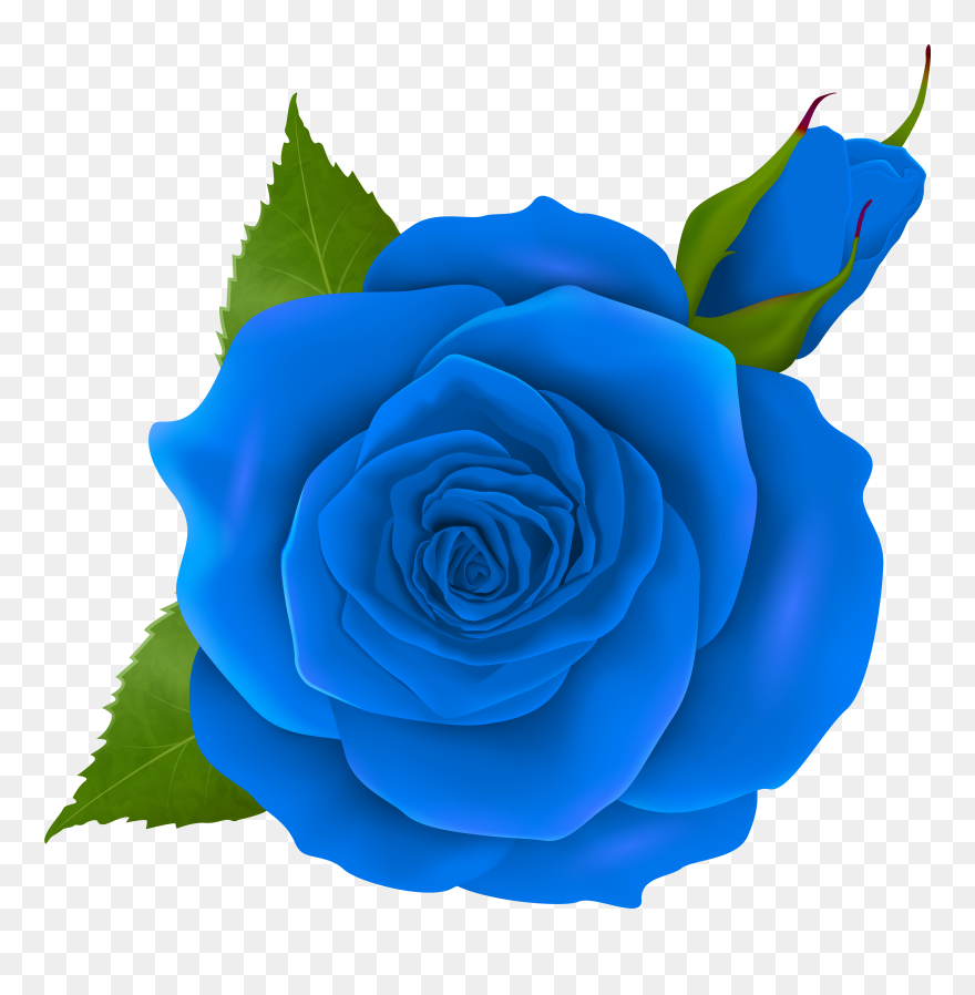 Blue Rose And Bud Transparent Png Clip Art