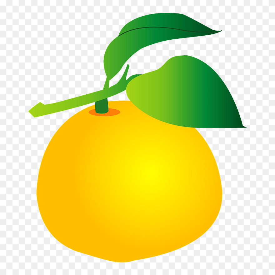 Yuzu Fruits Clipart - Png Download