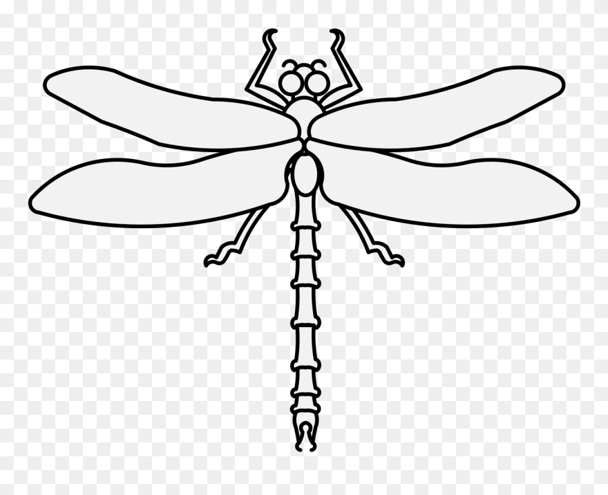 Dragonfly Clipart Traceable - Dragonfly Traceable - Png Download
