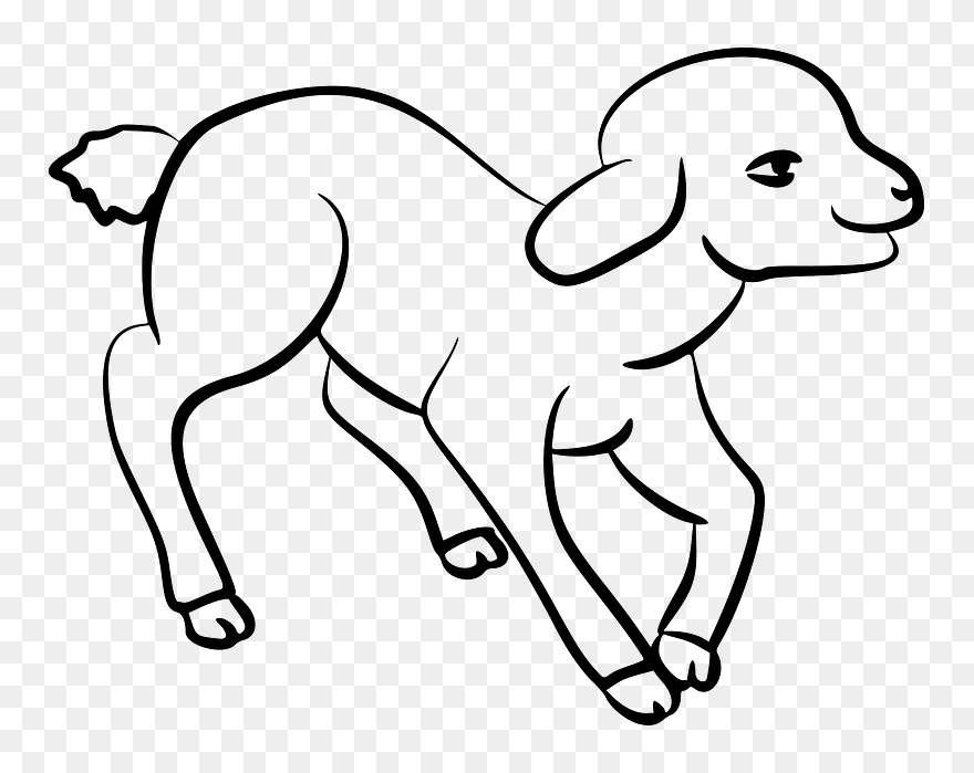 Cute Lamb Clipart - Lamb Drawing - Png Download