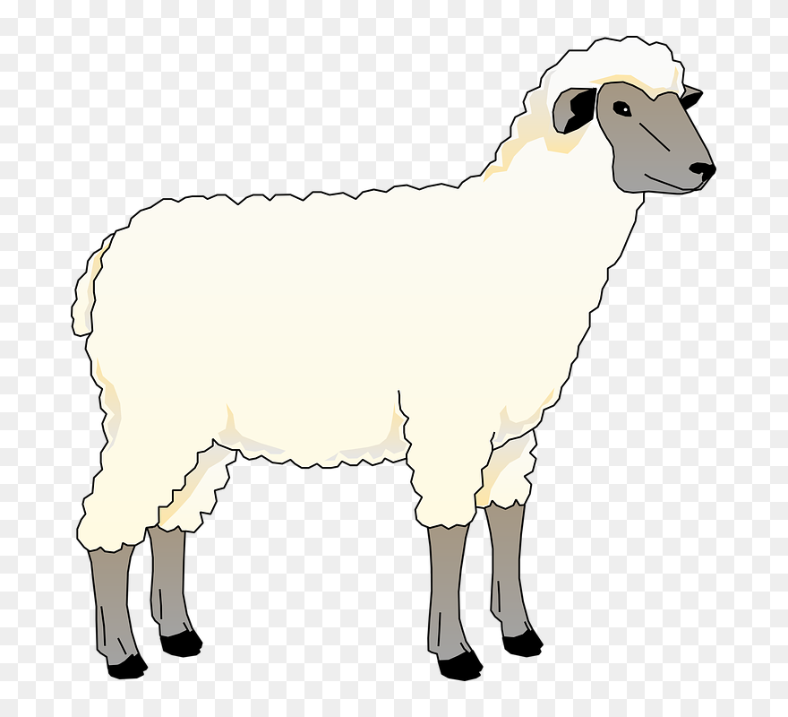 Collection Of Free Heep - Sheep Clip Art - Png Download