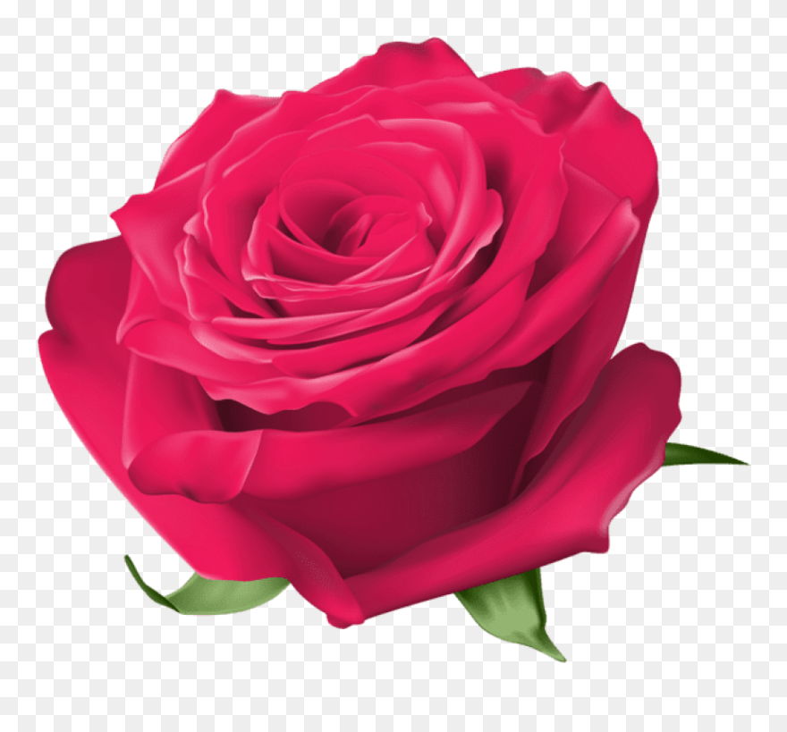 Rose Clip Art - Transparent Background Yellow Rose Clipart - Png Download