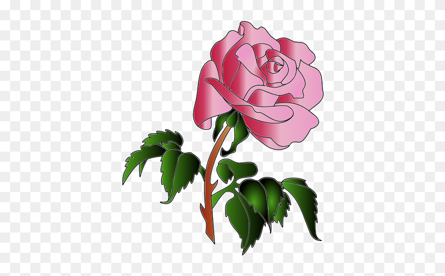 Rose Colors Clip Art - Rose - Png Download