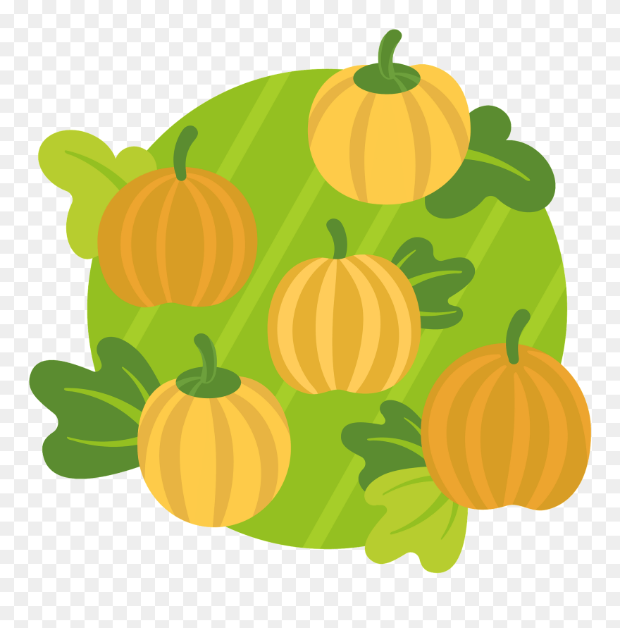 Pumpkin Patch Clipart - Pumpkin - Png Download