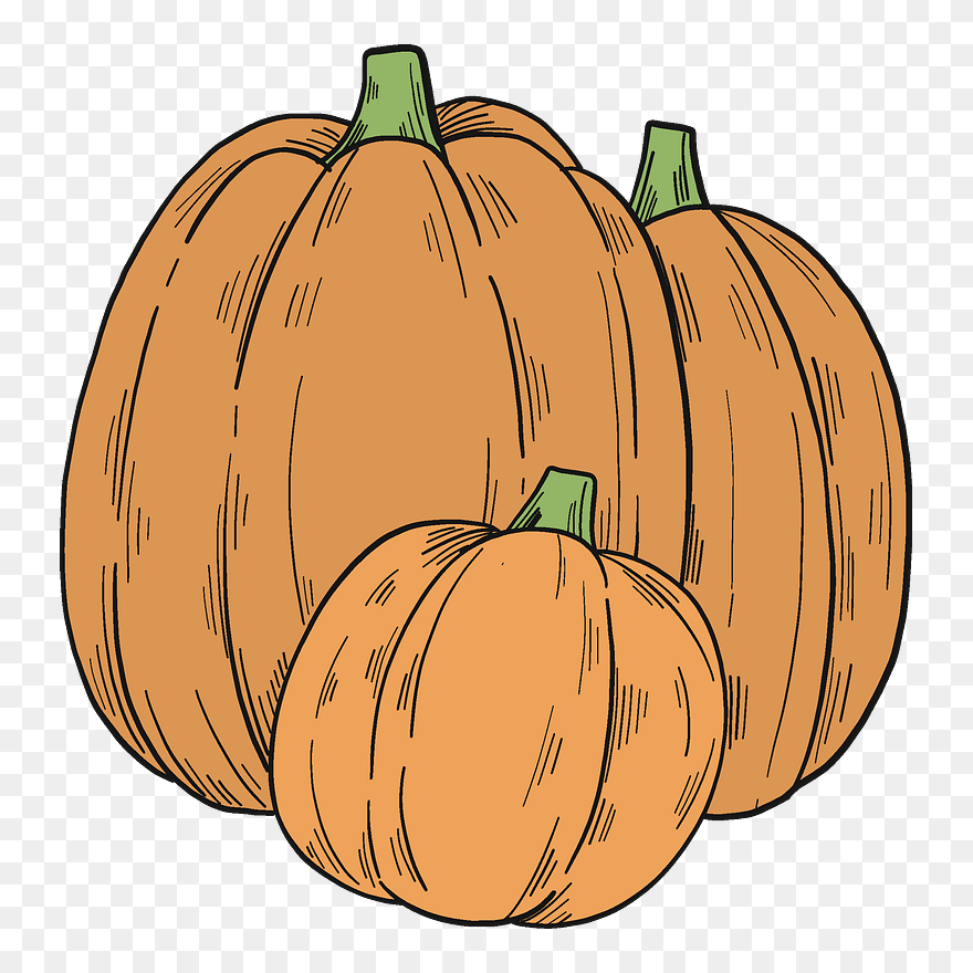 Pumpkin Patch Clipart - Pumpkin - Png Download