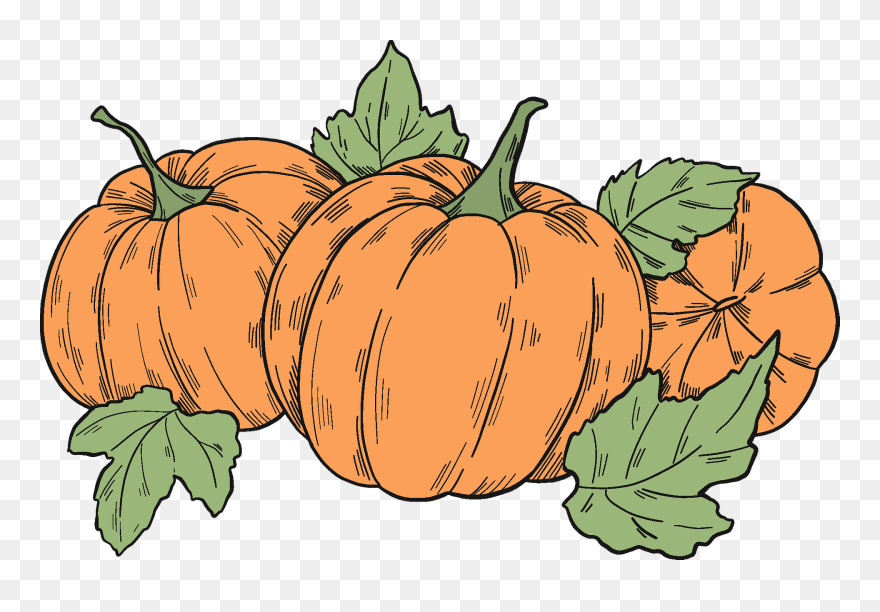 Pumpkin Clipart