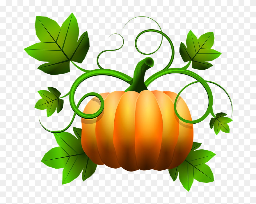 Pumpkin Patch Clipart Free Black And White Transparent - Green Pumpkin With Vine Clipart - Png Download