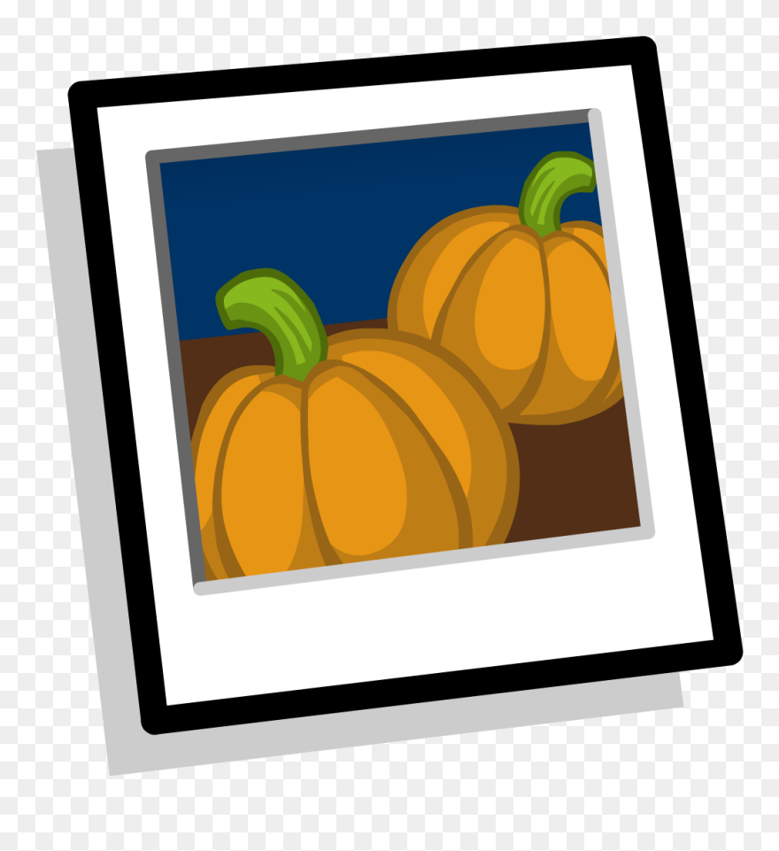 Club Penguin Wiki - Pumpkin Clipart