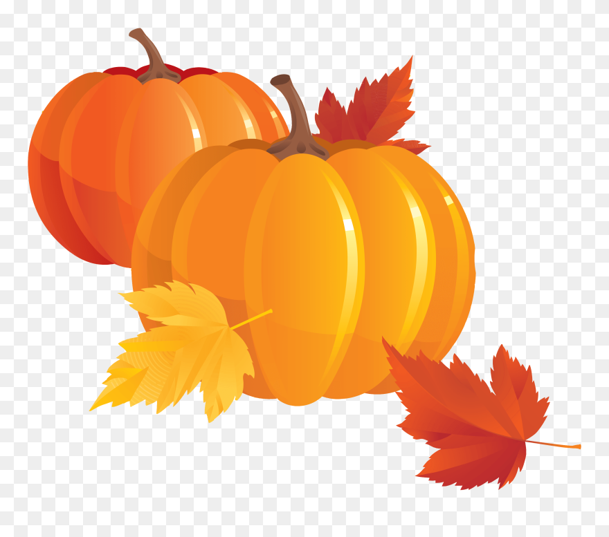 Pumpkin Pie Clip Art - Pumpkins Transparent - Png Download