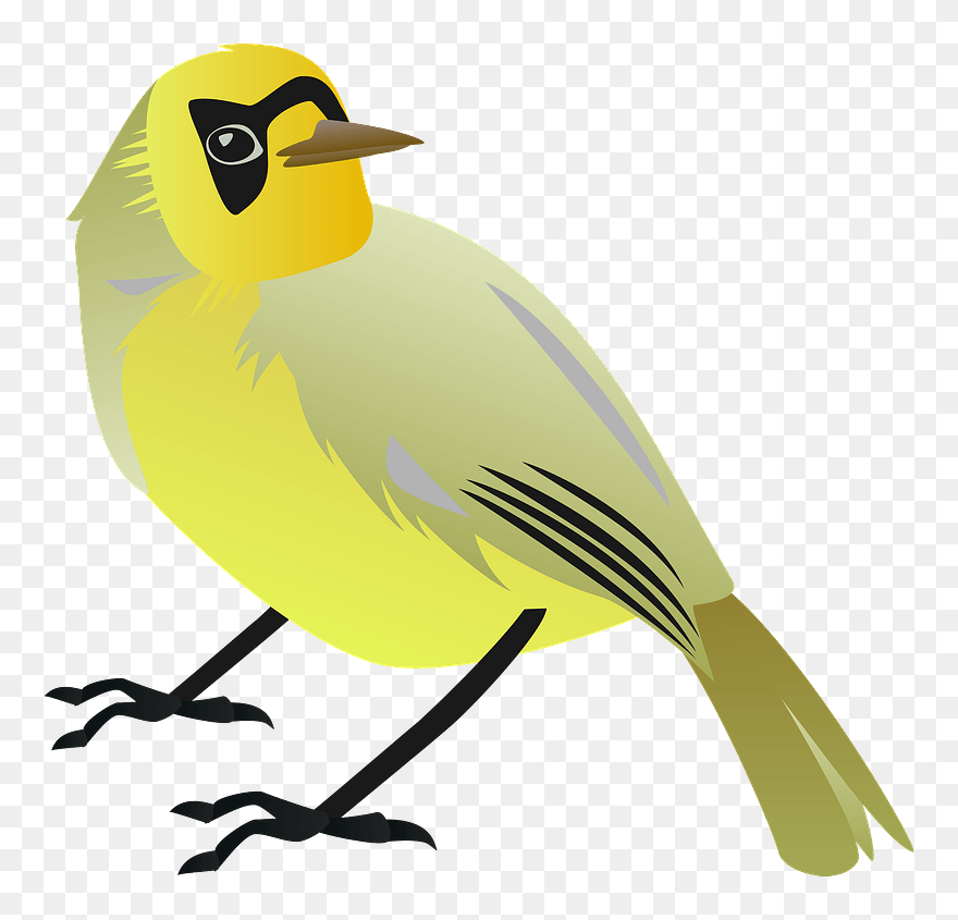 Bonin White-eye Bird Clipart - めじろ めぐろ - Png Download