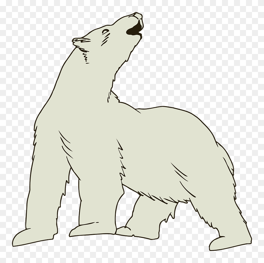 Howling Polar Bear Clipart - Png Download