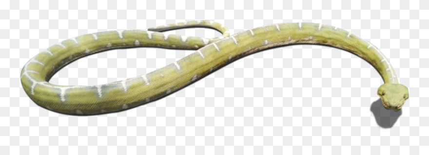Download And Use Snake Png Clipart - Grass Snake Transparent Png