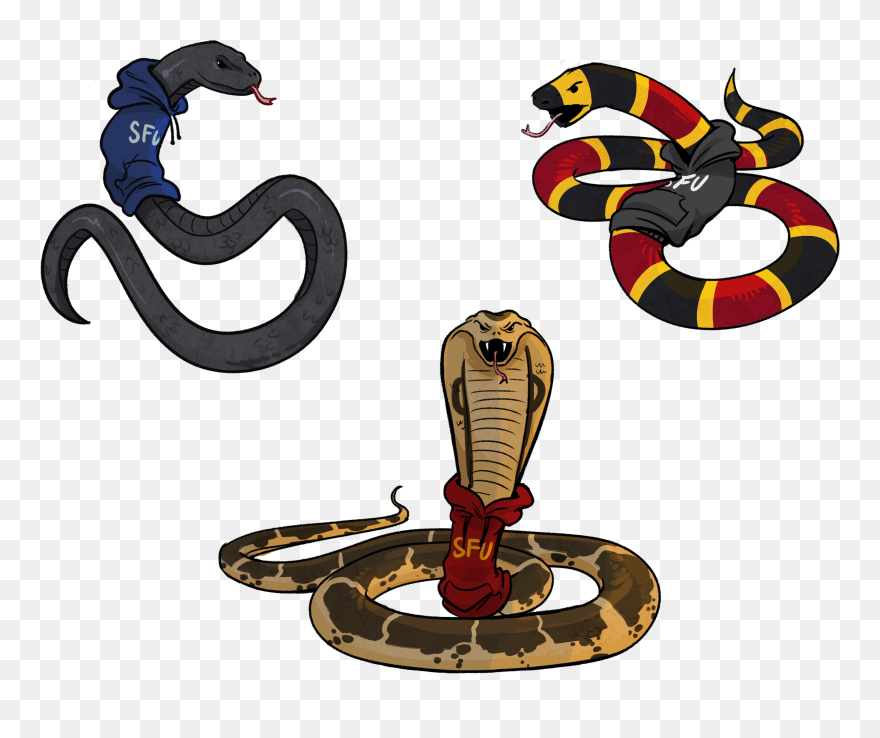 Transparent King Cobra Clipart - Snake - Png Download