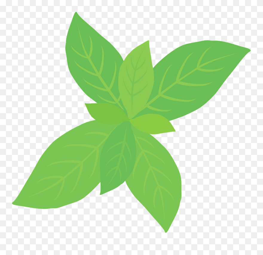 Peppermint Herb Clipart - Png Download