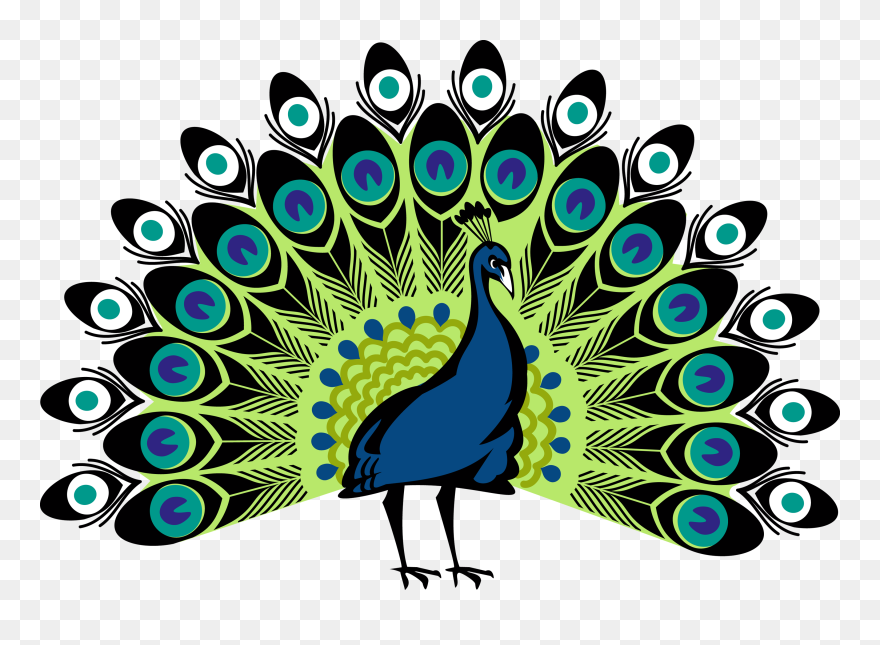 Peafowl Clip Art - Transparent Background Peacock Clipart - Png Download