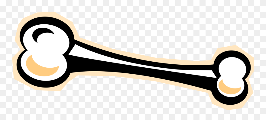 Vector Bone Femur Clip Royalty Free Library - Png Download