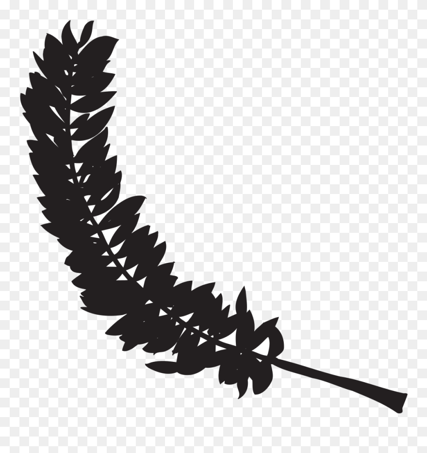 Feather Silhouette Svg Clip Arts - Png ดำ Transparent Png