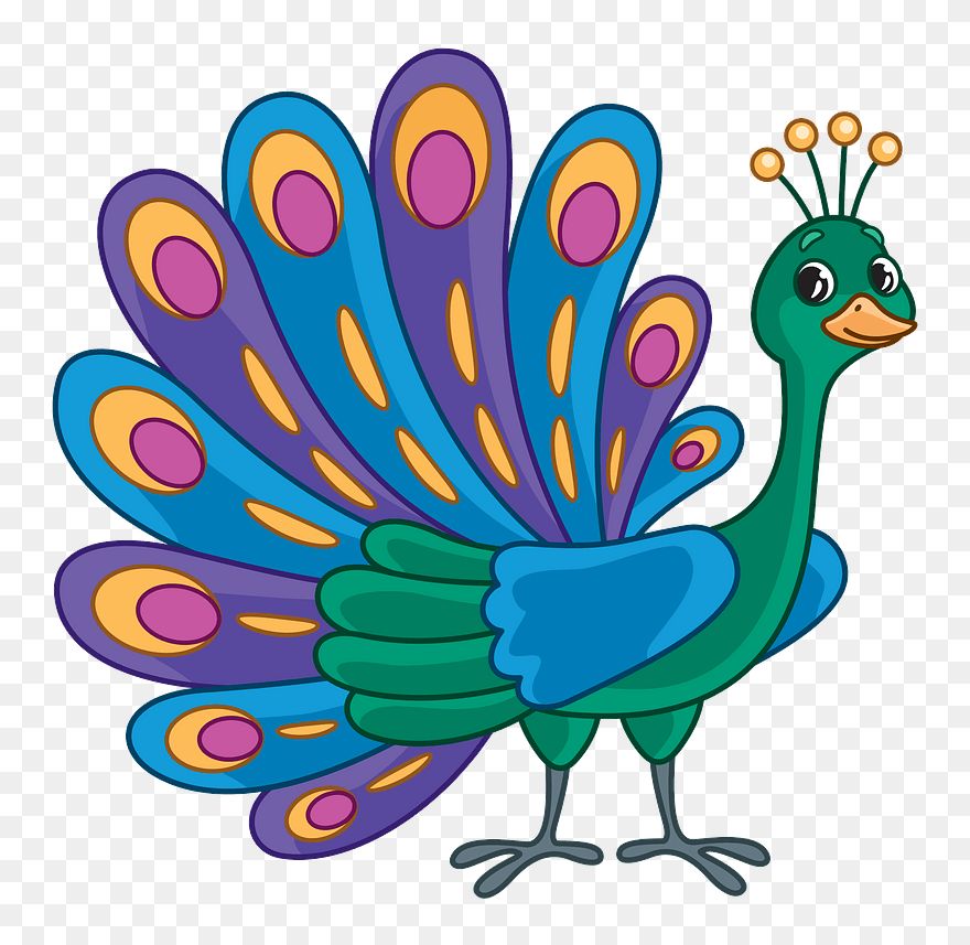 Free Download - Peacock Clipart - Png Download