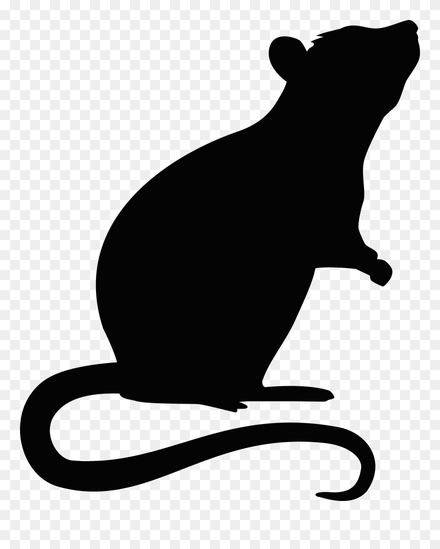 Rat Mouse Rodent - Transparent Rat Silhouette Png Clipart