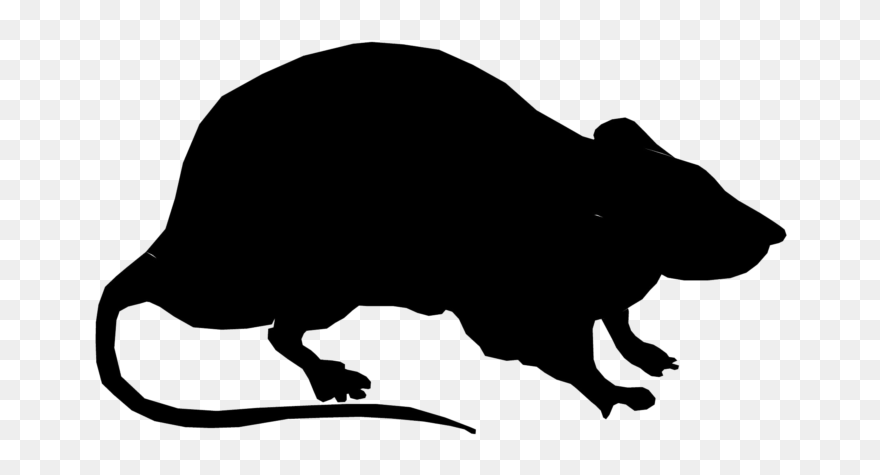 Rat Black Png - Silhouette Rat Clipart Transparent Png