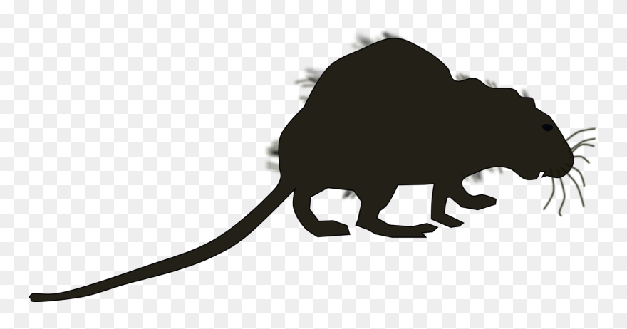 Tail,silhouette,wildlife - Marsupial Clipart