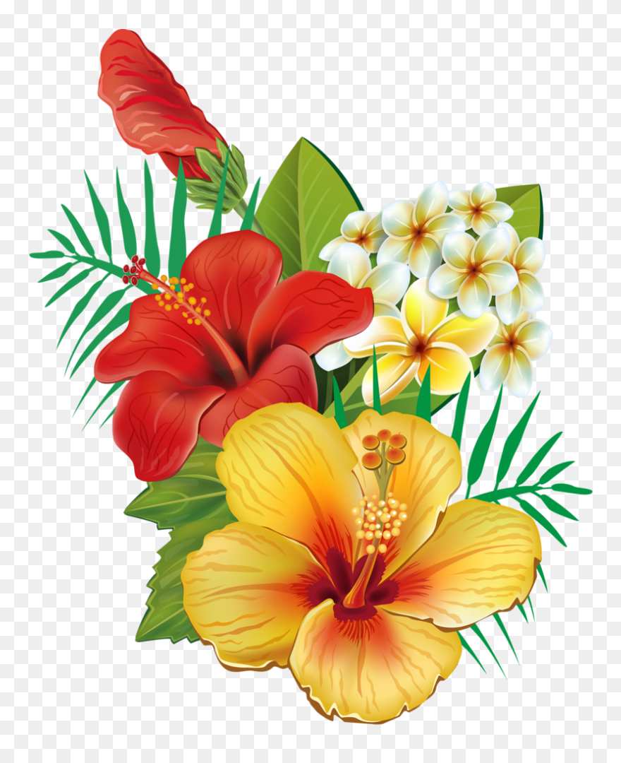 Tropical Flower Watercolor Png Clip Art Royalty Free - Hawaiian Flowers Png Transparent Png