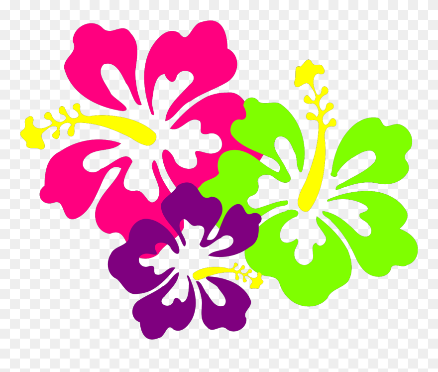 Transparent Background Hibiscus Flower Clipart - Png Download