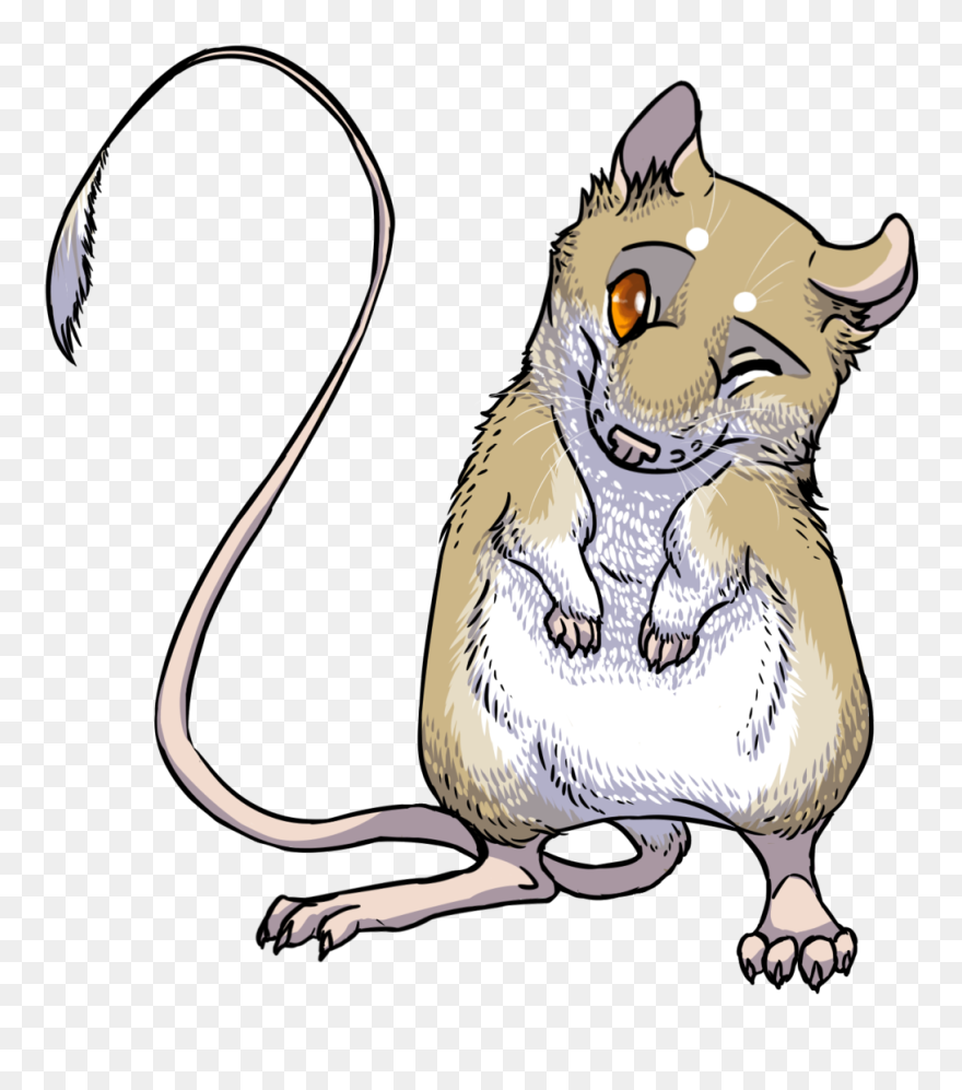 Transparent Rat Clipart Png - Kangaroo Rat Clipart
