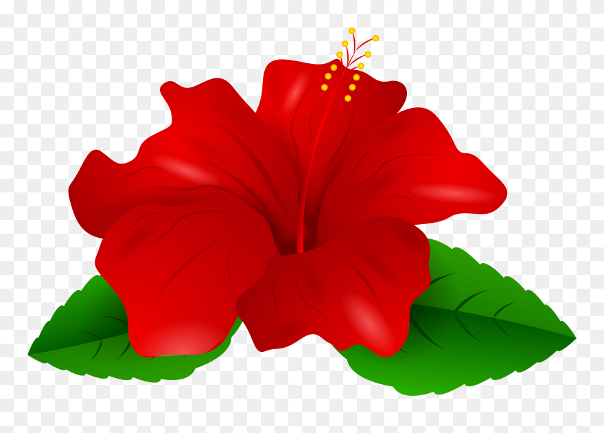 Red Hawaiian Flower Clipart Graphic Transparent Clipart - Red Hibiscus Flower Clipart - Png Download
