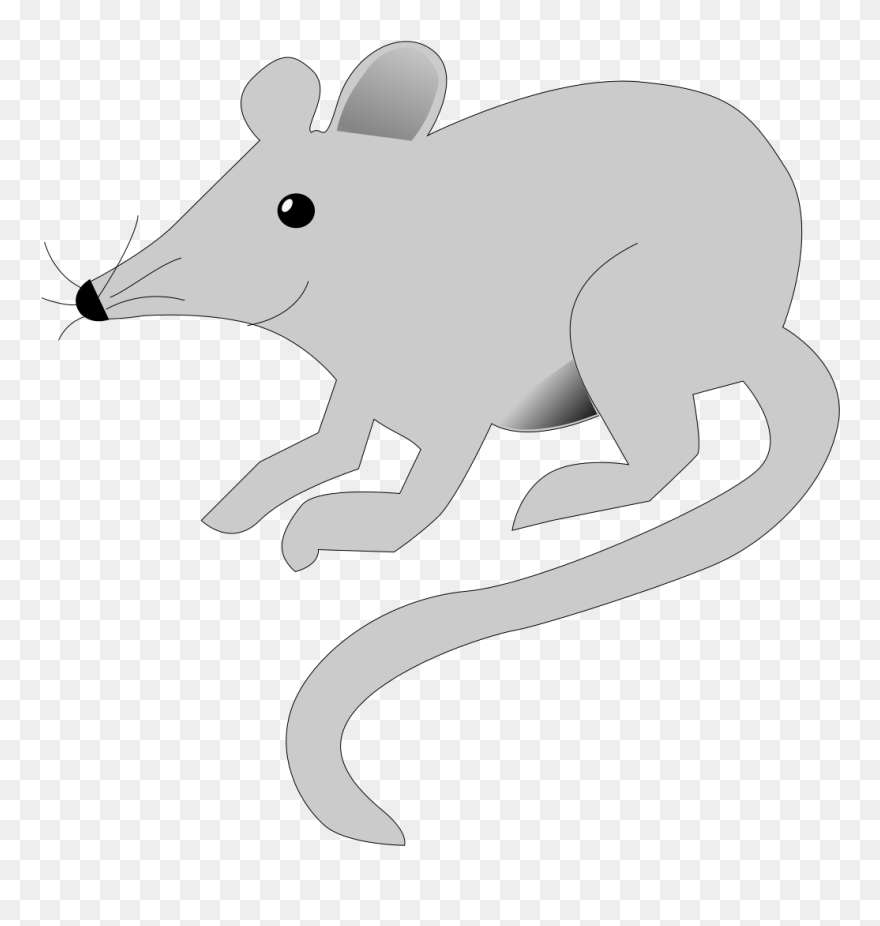 Png Clipart Mouse Transparent Background