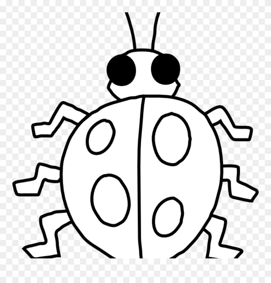 Ladybug Outline Ladybug Clip Art At Clker Vector Clip - Insect Clipart Black And White - Png Download