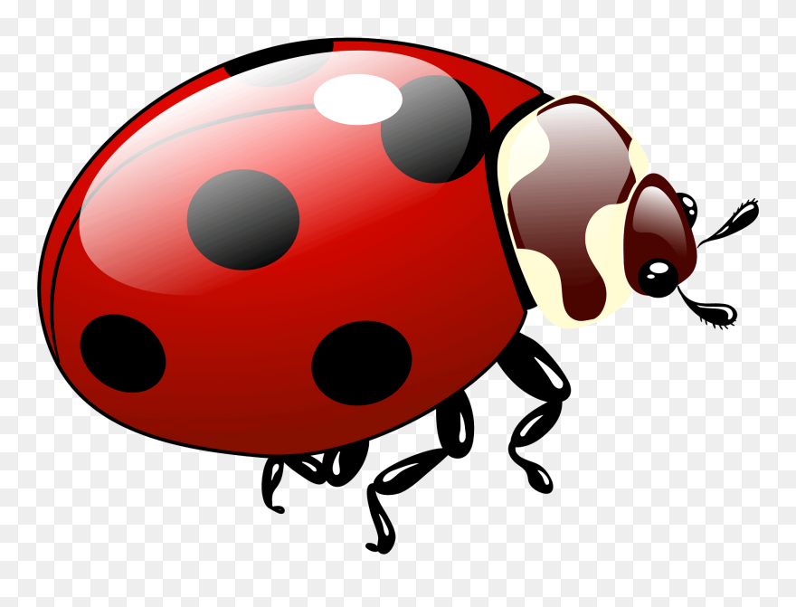 Ladybug Clipart - Ladybug - Png Download