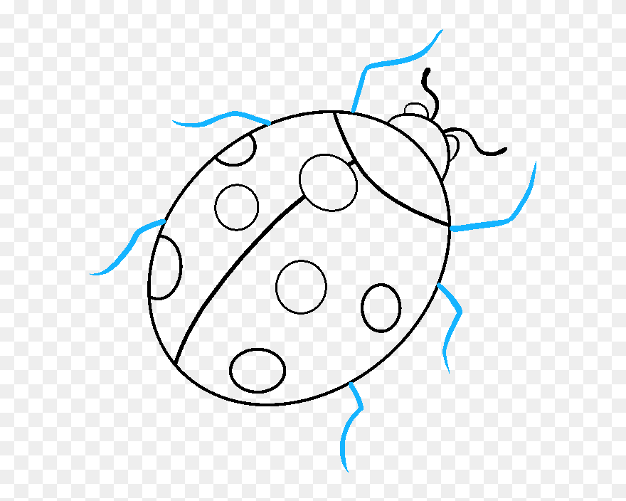 How To Draw A Ladybug - Line Art Clipart