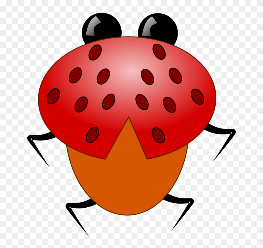 Ladybird Beetle Clipart