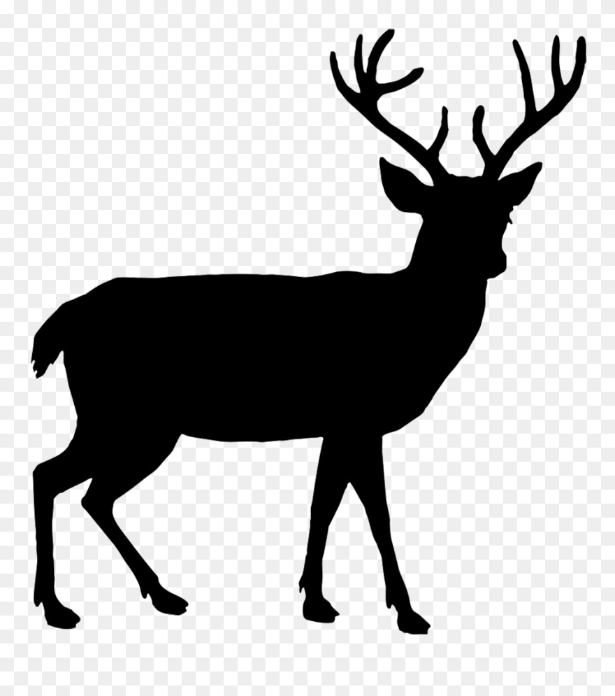 White-tailed Deer Elk Moose Clip Art - Clip Art Deer Png Transparent Png