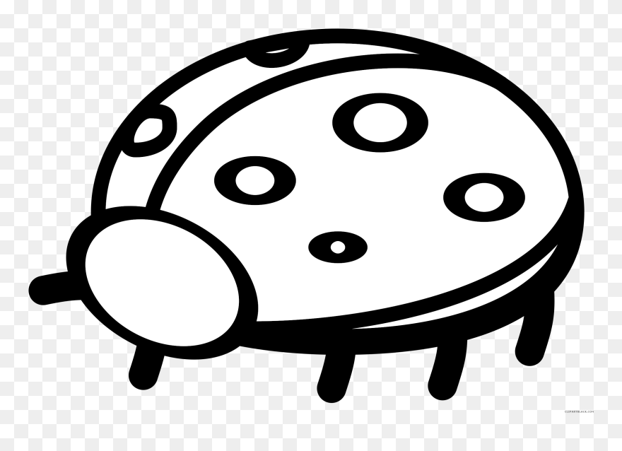 Ladybug Clipart Outline, Ladybug Outline Transparent - Ladybug Clip Art - Png Download