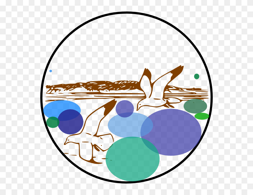 Seagull Clipart Black And White - Png Download