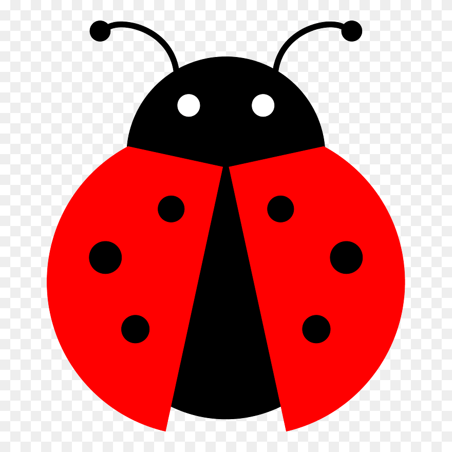 Flying Ladybug Clipart - Ladybug Png Transparent Png