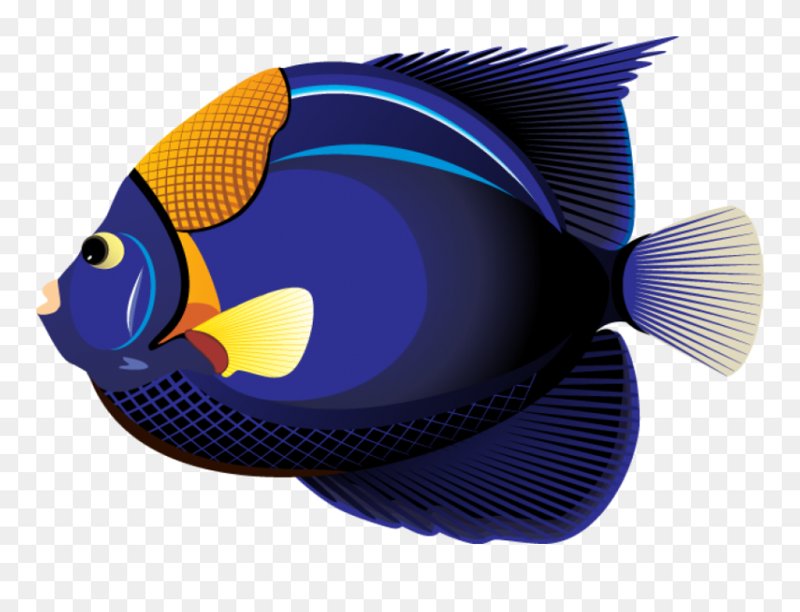 Clipart Tropical Fish - Png Download